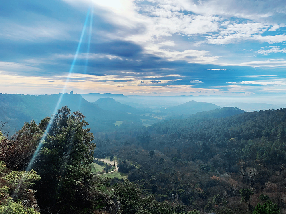 Calendar with flexible days