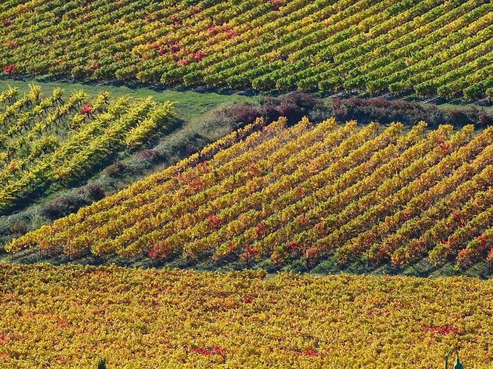 Vignobles et bouteilles de vin de la Drôme Provençale
